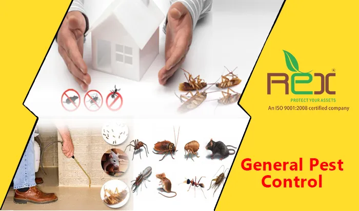 General Pest Control India