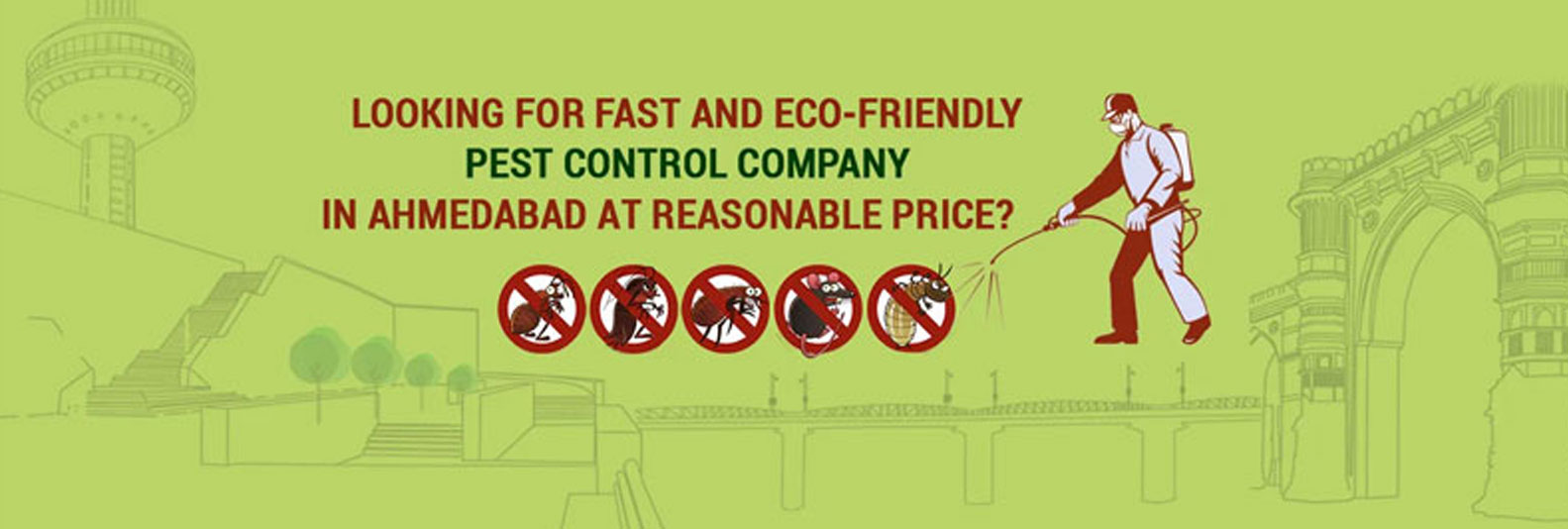Rex – Well known Pest Control Company in Ahmedabad