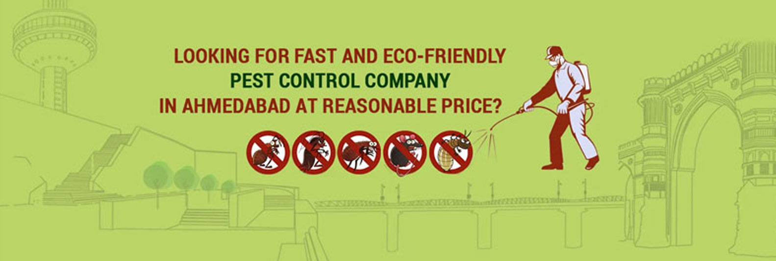 Pest Control Company, Pest Control in Ahmedabad